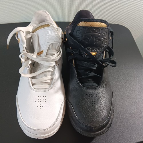 Nike zoom lebron nxxt gen - nike,