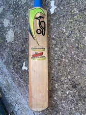 Kookaburra “biggest