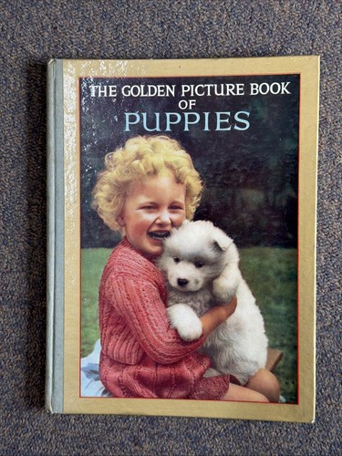 The golden picture book - picture,