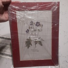 ANTIQUE BOTANICAL PAINTING