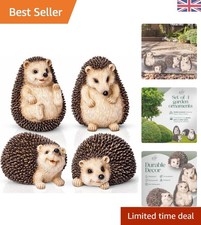 Adorable Hedgehog Garden