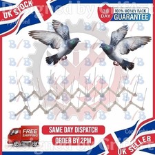 Birds spikes packs fence - packs,