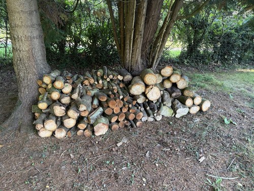 Seasoned hardwood wood logs - seasoned,