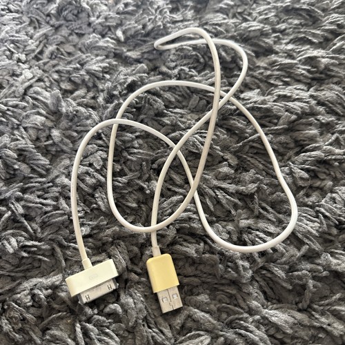 Apple pin charger - 30, cable