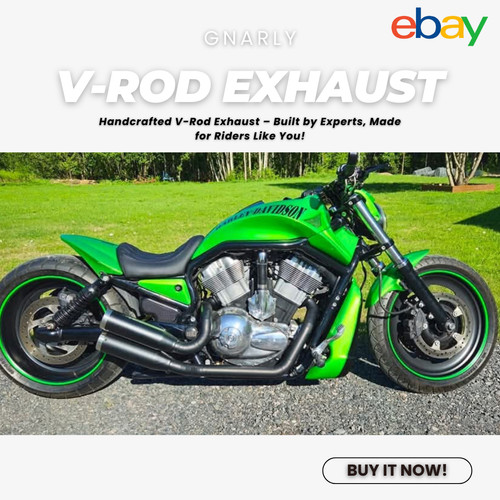 Custom into exhaust harley - 2-into-2,