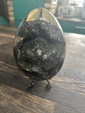 Big heavy septarian egg with - septarian,
