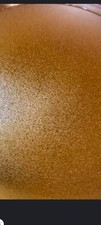Brine shrimp eggs - brine,