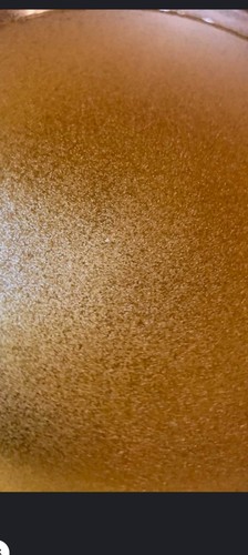 Brine shrimp eggs 30g - brine, 30g.