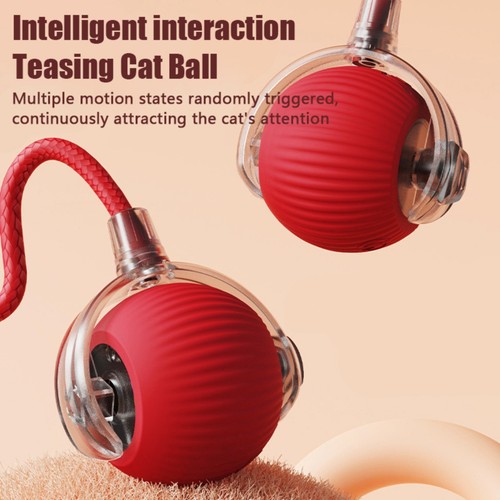 Interactive dog cat toy - interactive,