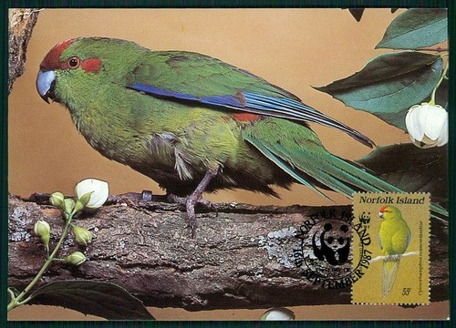 Norfolk islands wwf fauna - islands,