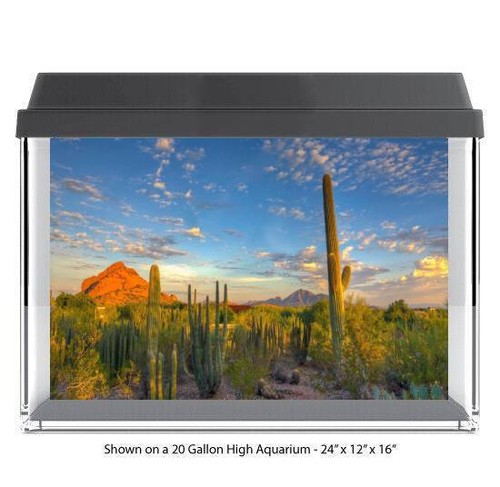 Desert mtn cactus polyester - mtn,