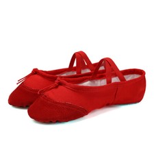 Ballet Slippers Kids Adult Size Canvas Split Sole Pointe Dance Shoes Practice