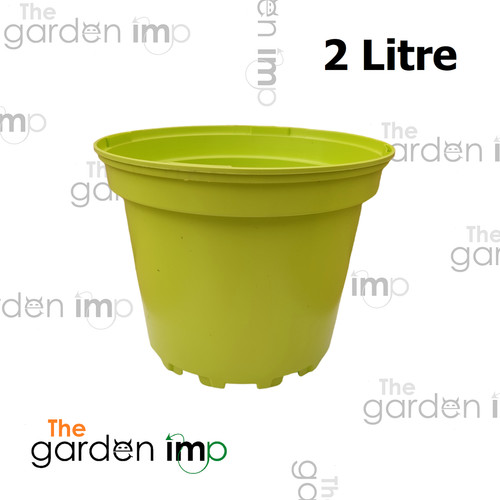 Coloured plastic plant pots - plastic,