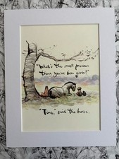 THE BOY THE MOLE FOX HORSE AND STORM MACKESY TIME IS PRECIOUS MOUNTED PAGE