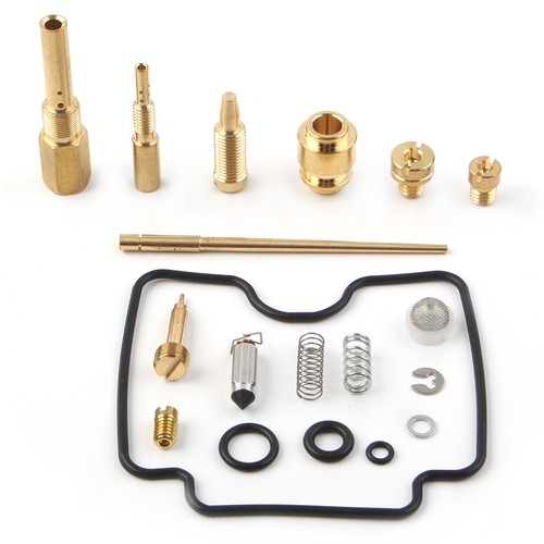 Carburetor repair kit - repair, for