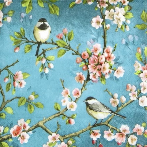 Single paper napkins - 4x,
