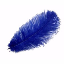 Ostrich Feathers - Royal Blue
