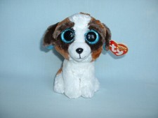 TY BEANIE BOO'S 6" DUKE THE