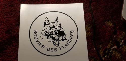 Bouvier des flandres - des, dog