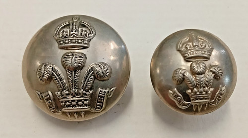 Royal wiltshire yeomanry - 2, x