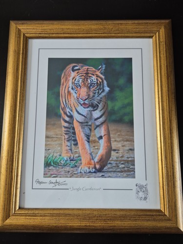 Stephen gayford wild - wild, art