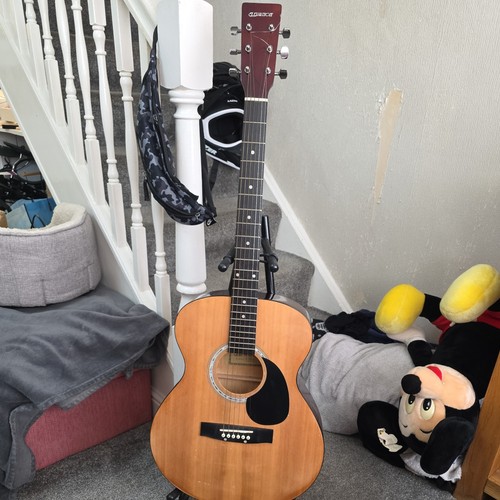Acoustic guitar string inc - guitar,
