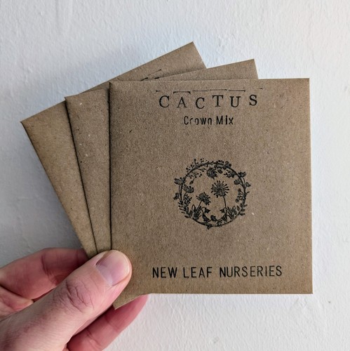 Cactus crown mix seeds in - 'crown,