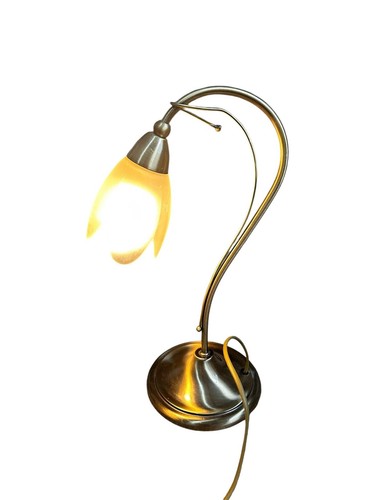 Barcelona goose neck tulip - barcelona,