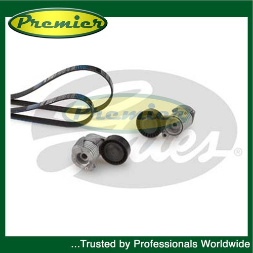 Premier alternator drive belt - premier,