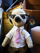 Meerkat "SERGI" with
