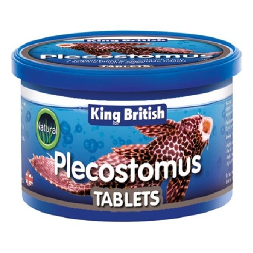 King british plecostomus - king,