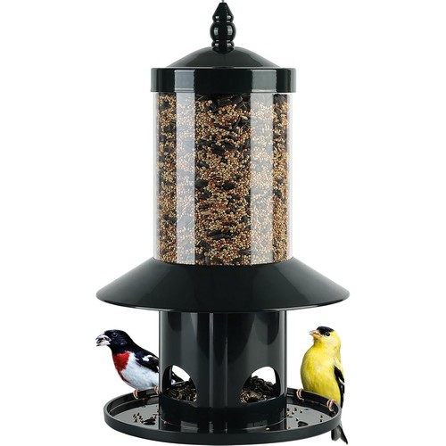 Squirrel proof bird feeder - proof,
