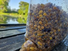 Carp Fishing Spod Mix