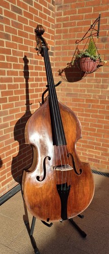 Stentor arcadia double bass - double,