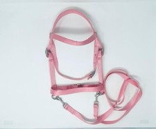 MINIATURE HORSE / SM PONY