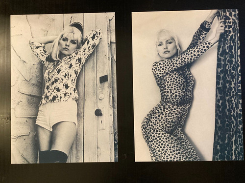 Debbie harry blondie posters - blondie,