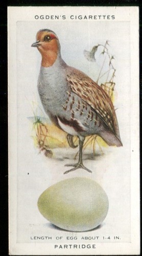 Tobacco card ogdens - tobacco, card,