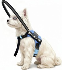 LetPetRun Adjustable Blind Dog