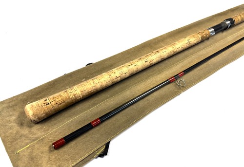 Unknown carp rod - rod, 10’