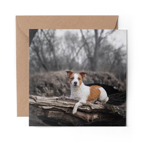 Blank greeting card - 1, cute