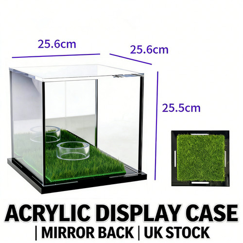 Acrylic display case 25cm - display,