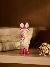 NEXT - Rosie Rabbit Mushroom