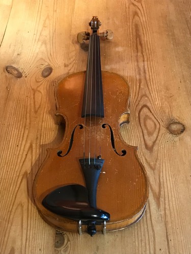 Antique size violin - ,