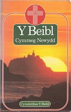 Y Beibl Cymraeg Newydd: New