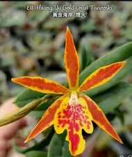 Ett. Hsiang Yu Gold Coast