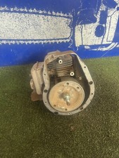 Little Wonder Petrol Leaf