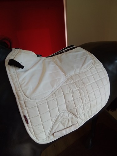 White lemieux pro - lemieux,