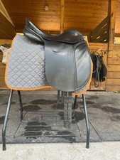 Karl Niedersuss Dressage
