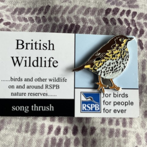 Rspb pin badge - badge, song