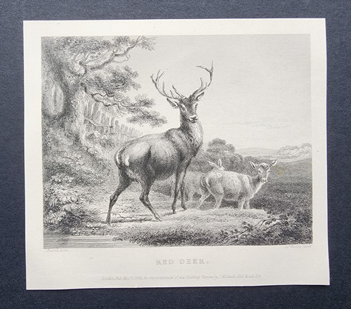 Antique 1842 print red - print,